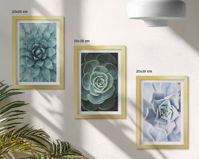 3-piece wall art set Succulent plants in shades of green and turquoise