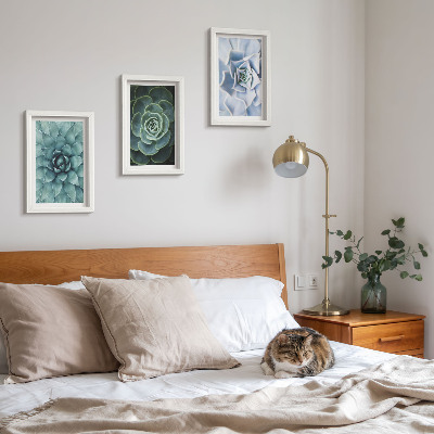 3-piece wall art set Succulent plants in shades of green and turquoise
