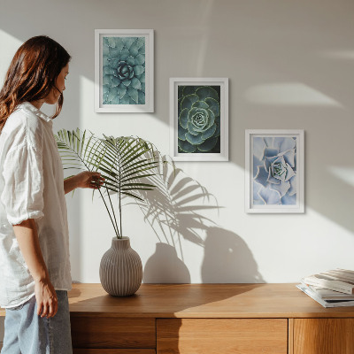 3-piece wall art set Succulent plants in shades of green and turquoise