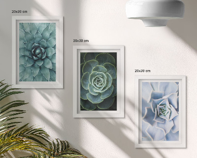 3-piece wall art set Succulent plants in shades of green and turquoise