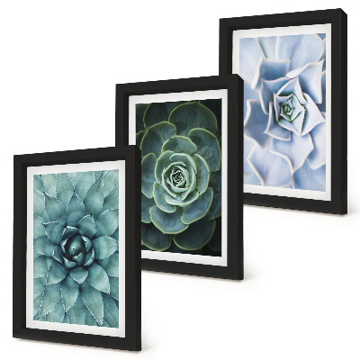 3-piece wall art set Succulent plants in shades of green and turquoise
