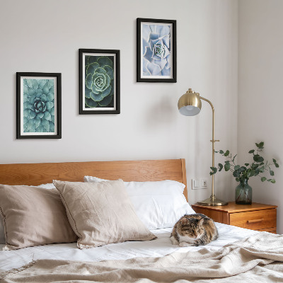 3-piece wall art set Succulent plants in shades of green and turquoise
