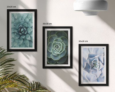 3-piece wall art set Succulent plants in shades of green and turquoise