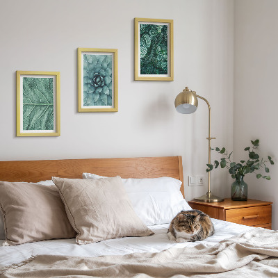 Photo frame wall Close-ups of succulent plants and leaves