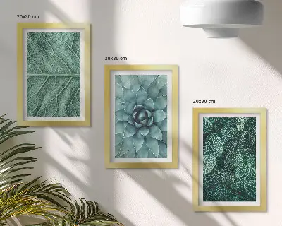 Photo frame wall set with close-ups of succulent plants and leaves