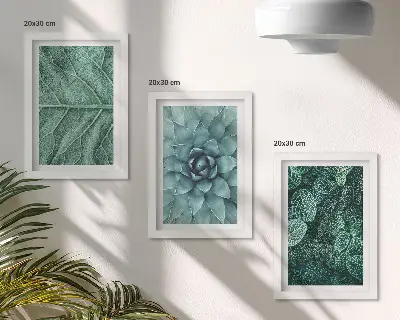 Photo frame wall set with close-ups of succulent plants and leaves