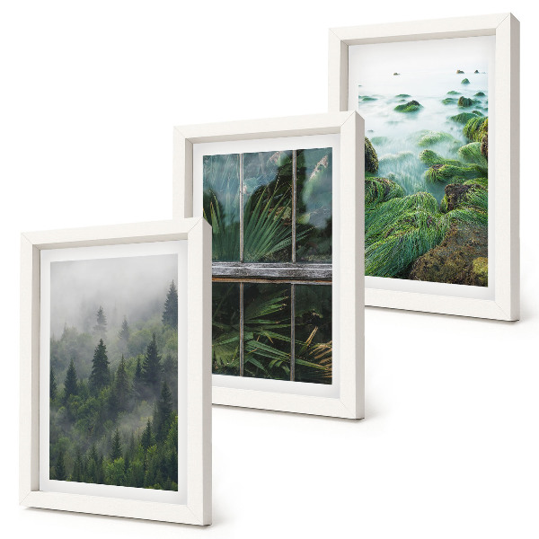 Framed triptych A forest in the fog, a river bank, and a greenhouse with plants
