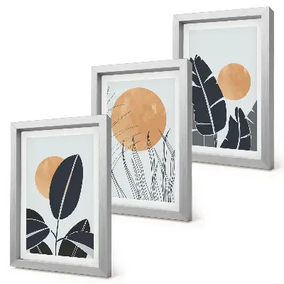 3-piece wall art set featuring minimalist plant and sun patterns