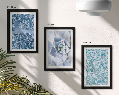 Photo frame wall Winter forest blue flower blue water surface