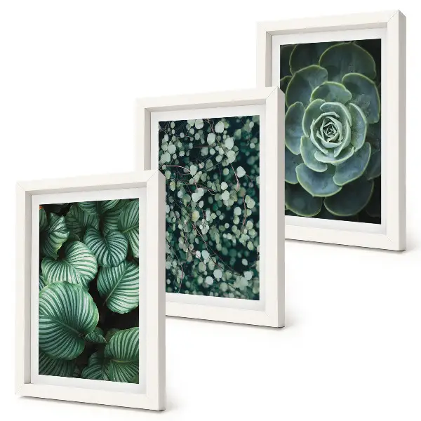 Photo frame wall gallery set with green leafy plants and stylish succulent prints