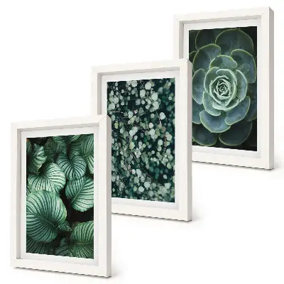 Photo frame wall gallery set with green leafy plants and stylish succulent prints