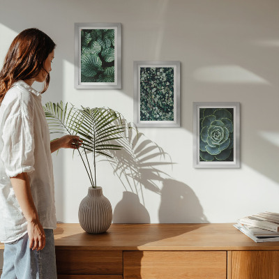 Photo frame wall Green leafy plants and stylish succulents