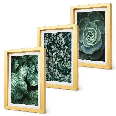 Photo frame wall gallery set with green leafy plants and stylish succulent prints
