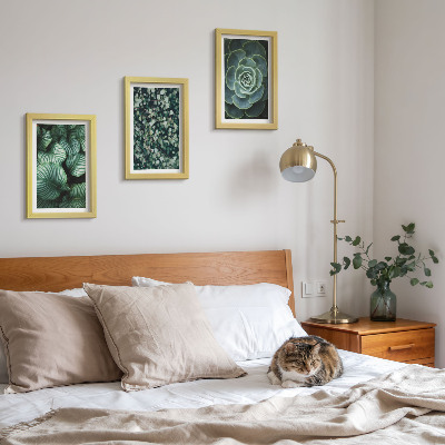 Photo frame wall Green leafy plants and stylish succulents