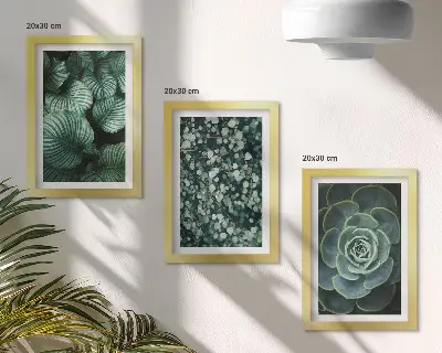 Photo frame wall gallery set with green leafy plants and stylish succulent prints