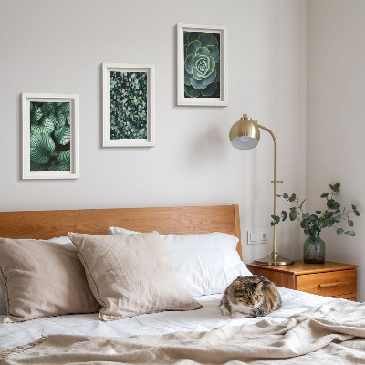Photo frame wall Green leafy plants and stylish succulents