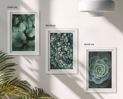 Photo frame wall Green leafy plants and stylish succulents