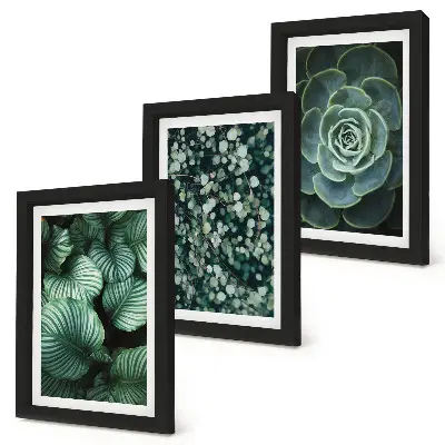 Photo frame wall gallery set with green leafy plants and stylish succulent prints