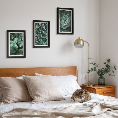 Photo frame wall Green leafy plants and stylish succulents