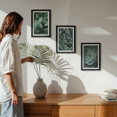 Photo frame wall Green leafy plants and stylish succulents