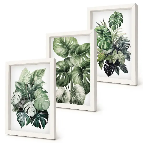 Tropical plant leaf watercolor triptych with frames