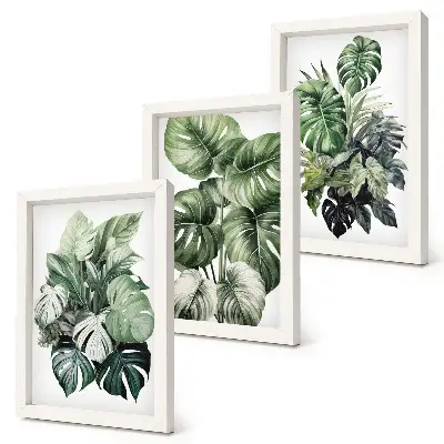 Tropical plant leaf watercolor triptych with frames