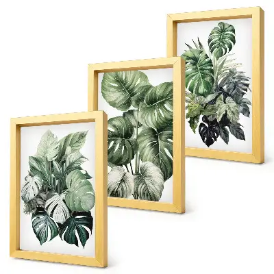 Tropical plant leaf watercolor triptych with frames
