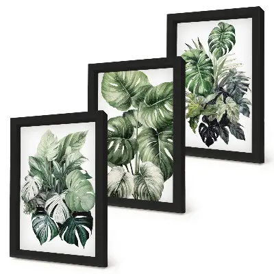 Tropical plant leaf watercolor triptych with frames