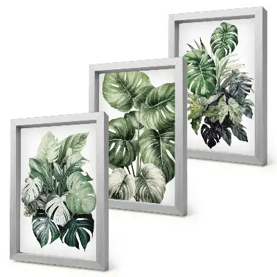Tropical plant leaf watercolor triptych with frames