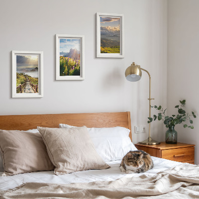 Photo frame wall Mountain landscapes with flowers, sky and path