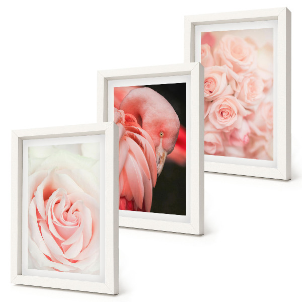 Photo frame wall Pastel pinks and flamingo in delicate shades