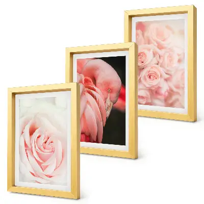 Photo frame wall in delicate pastel pink and flamingo shades