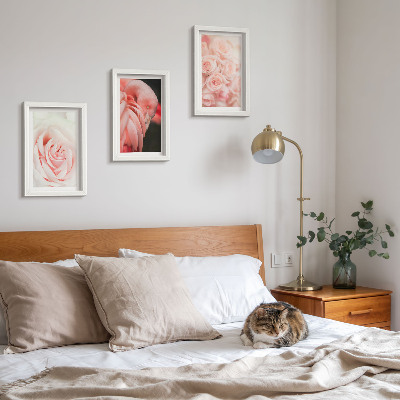 Photo frame wall Pastel pinks and flamingo in delicate shades