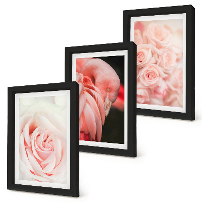 Photo frame wall Pastel pinks and flamingo in delicate shades