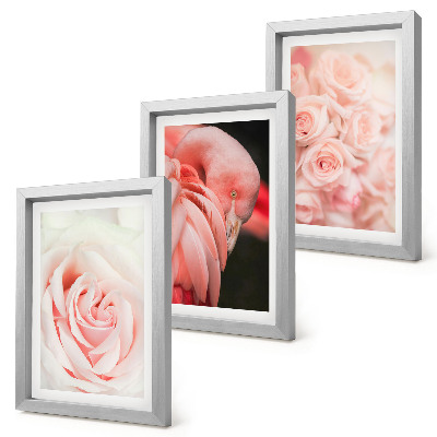 Photo frame wall Pastel pinks and flamingo in delicate shades