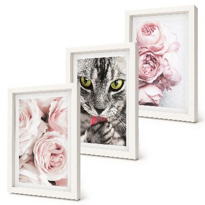 3-piece wall art set A cat among pink flowers of roses and peonies