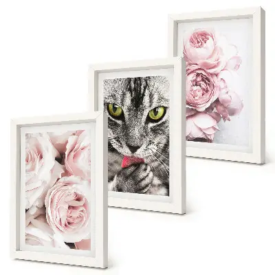 3-piece wall art set cat among pink roses and peonies