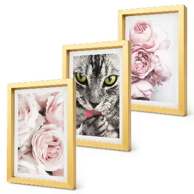 3-piece wall art set cat among pink roses and peonies