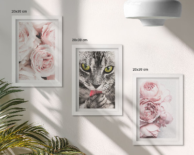 3-piece wall art set A cat among pink flowers of roses and peonies