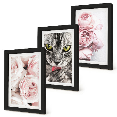 3-piece wall art set A cat among pink flowers of roses and peonies