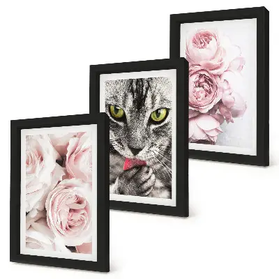 3-piece wall art set cat among pink roses and peonies
