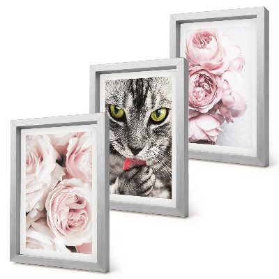 3-piece wall art set A cat among pink flowers of roses and peonies