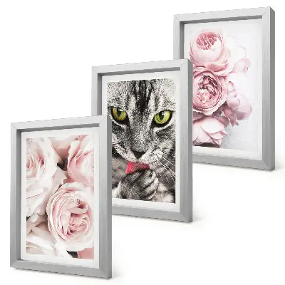 3-piece wall art set cat among pink roses and peonies