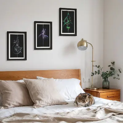 Photo frame wall Abstract patterns in shades of black and color