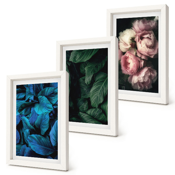 Framed triptych Leaves and flowers in different colors