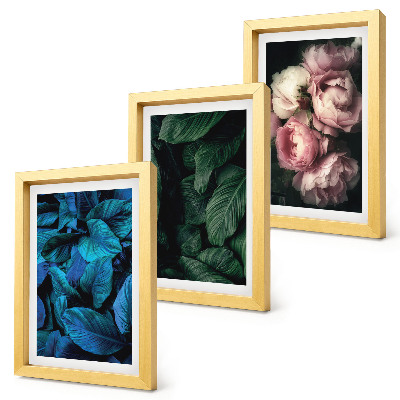 Framed triptych Leaves and flowers in different colors