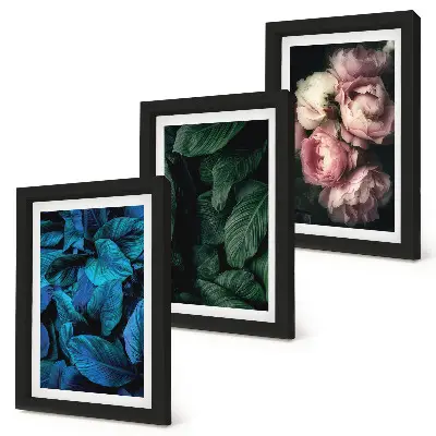 Framed triptych leaves and flowers in various colors
