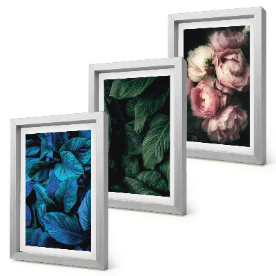 Framed triptych Leaves and flowers in different colors