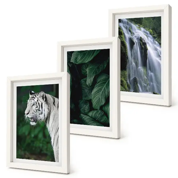 3-Piece wall art set white tiger lurking among leaves and a waterfall in nature