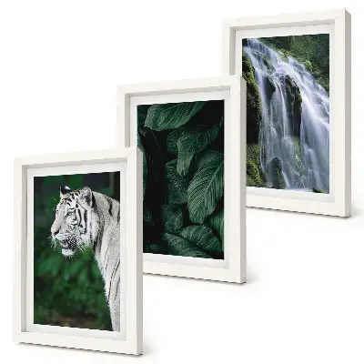 3-Piece wall art set white tiger lurking among leaves and a waterfall in nature